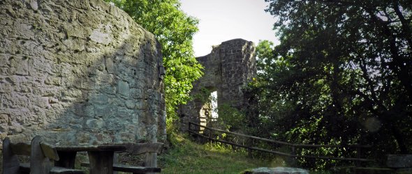 Ruine Falkenstein