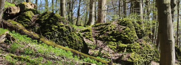 Höhensiedlung Altenburg