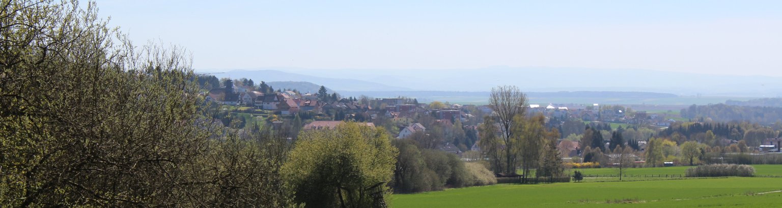 Blick auf Niedenstein