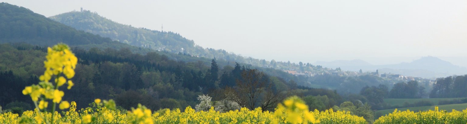 Blick auf Niedenstein