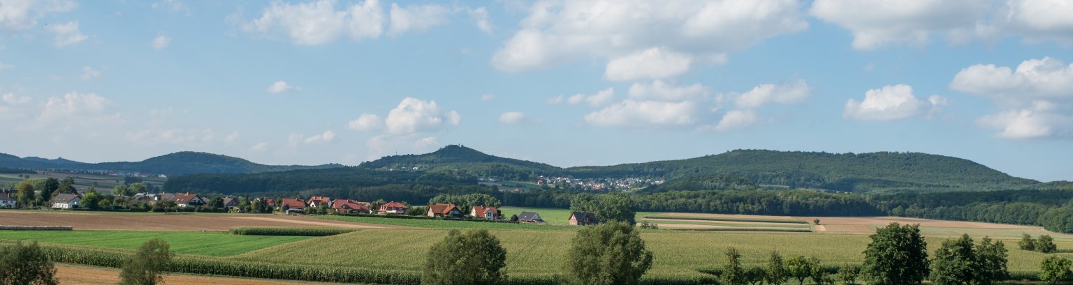 Blick auf Niedenstein