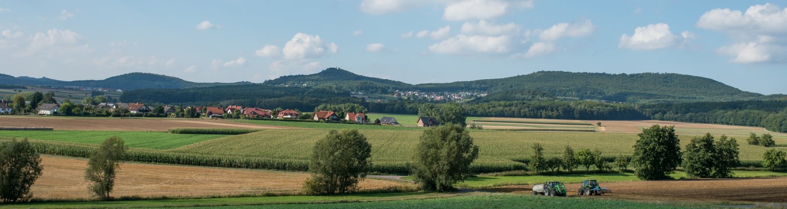 Blick auf Niedenstein