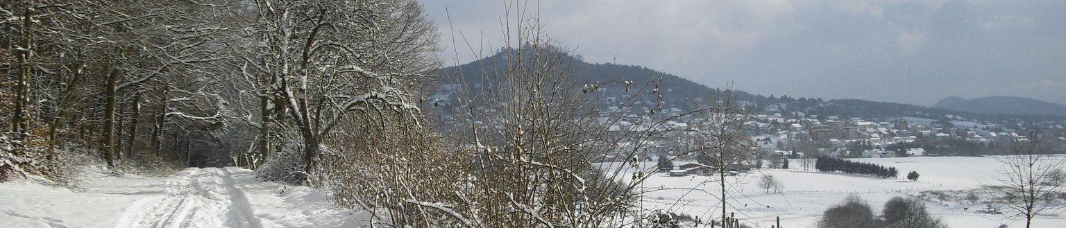 Naturparkführungen im Habichtswald